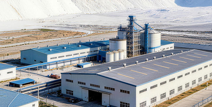 Company Profile
