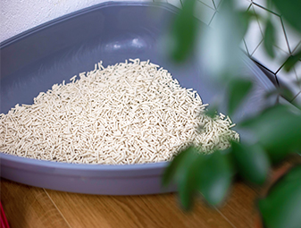 Bentonite vs. Tofu Cat Litter: Which One Is Best for Your Pet Brand or Home?