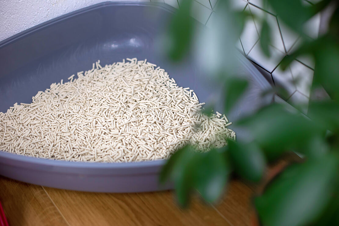 Cat-Litter-Guide-02