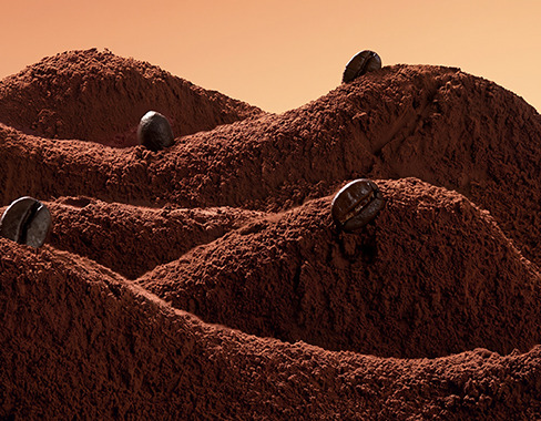 Fine Coffee Grain