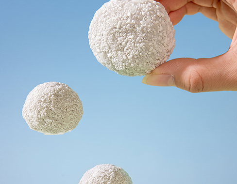 Purifed Starch