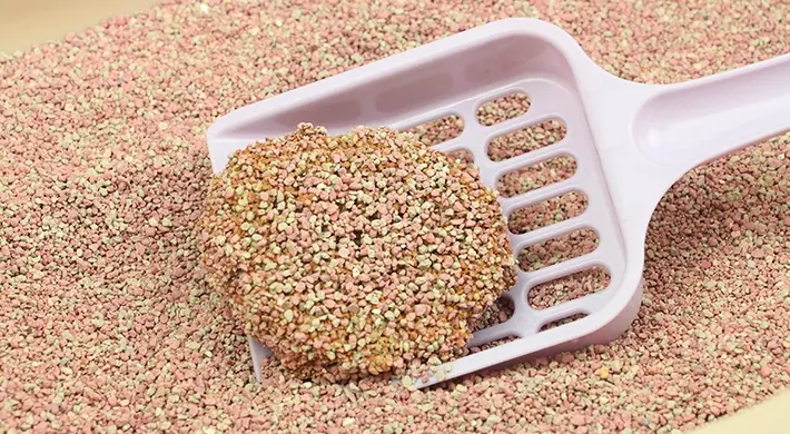 Sodium Bentonite Cat Litter-raw ore