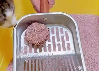Sodium Bentonite Cat Litter-raw ore